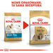 Royal Canin BHN Shih Tzu Adult -.суха храна за възрастни