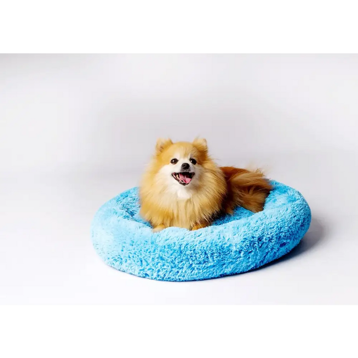 ПОДАРЪК Shaggy blue M - легло за домашни любимци - 57 x 57