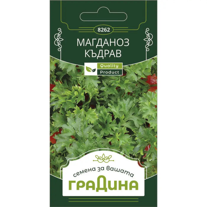 СЕМЕНА МАГДАНОЗ КЪДРАВ ГРАДИНА
