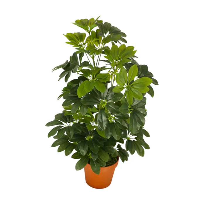 ИЗКУСТВЕНО РАСТЕНИЕ ШЕФЛЕРА 65CM HD HD-10980