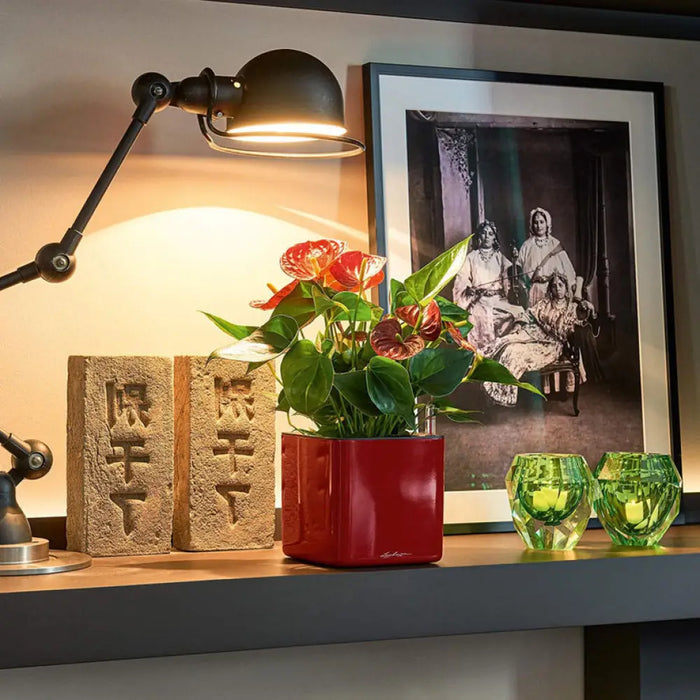 КАШПА 14X14CM С НАПОИТЕЛНА СИСТЕМА LECHUZA CUBE GLOSSY