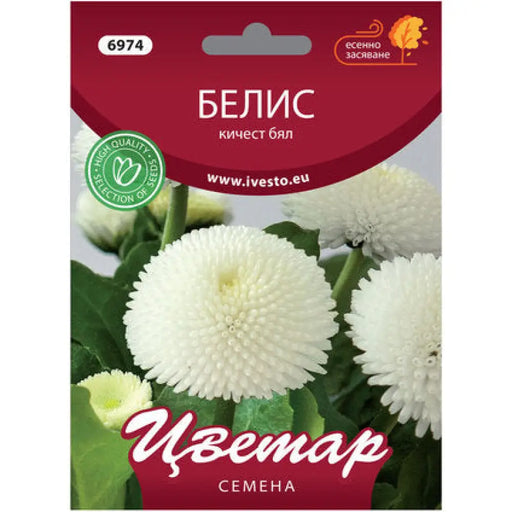 СЕМЕНА БЕЛИС КИЧЕСТ БЯЛ ЦВЕТАР