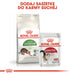 Суха храна за котки Royal Canin Active Life Outdoor 4 кг