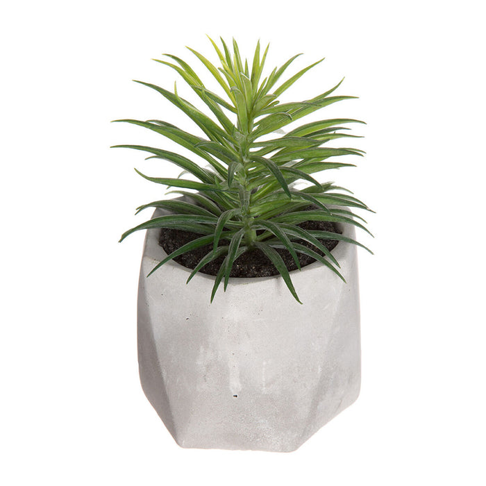 Декоративно Растение Atmosphera 7 x 14 cm Зелен PVC