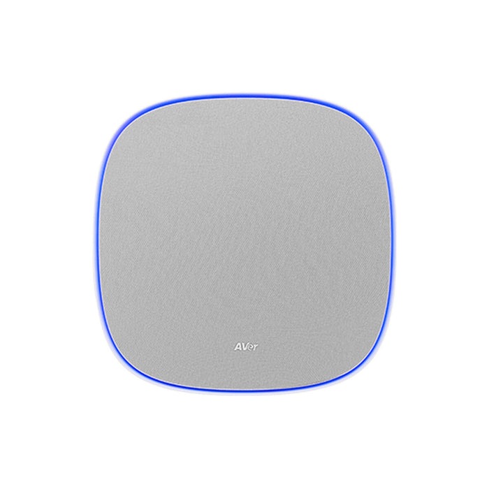 Колона AVer FONE700 Сив