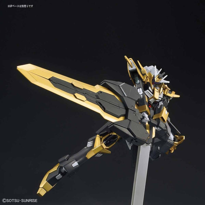 HGBF 1/144 GUNDAM SCHWARZRITER