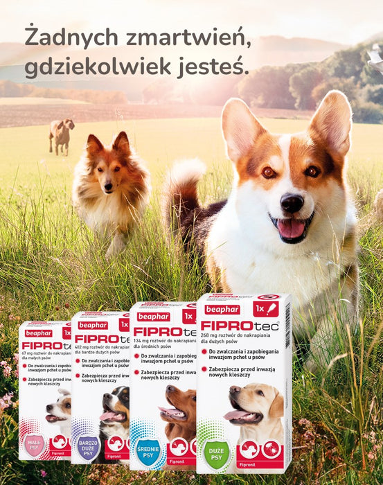 BEAPHAR Drops against fleas and ticks for dogs L - 1 x 268 mg