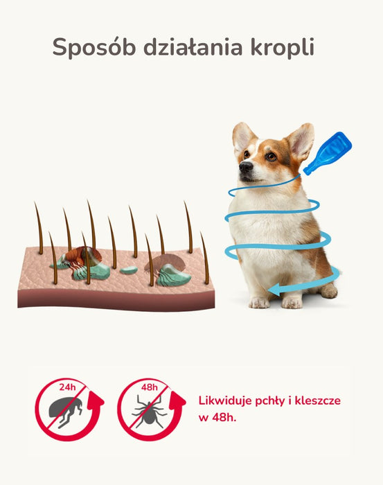 BEAPHAR Drops against fleas and ticks for dogs L - 1 x 268 mg