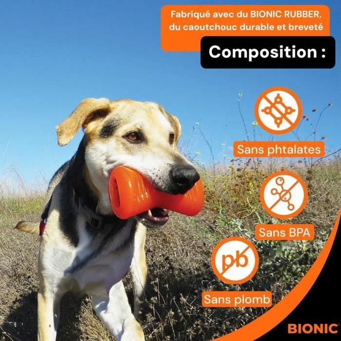 Играчка за Кучета Bionic Urban stick Оранжев 12 cm M Кост