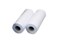 CANON LFM091 Top Color 120g/m2 594mm x 100m 1 ролка 2 пакета