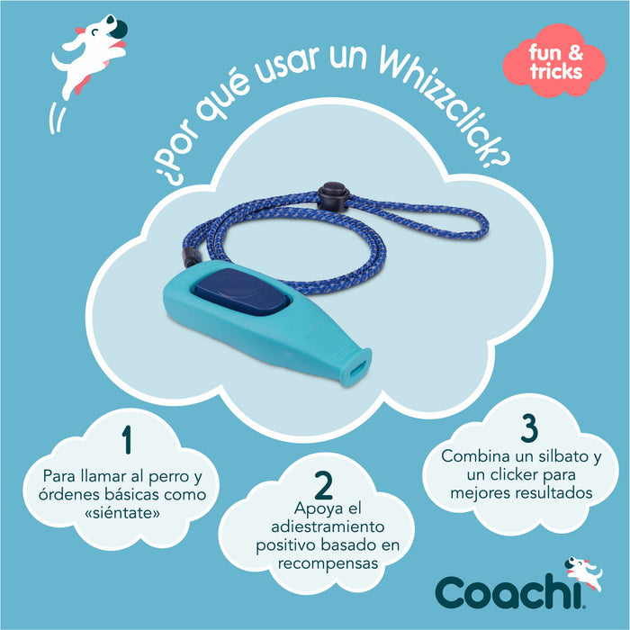 Свирка Coachi