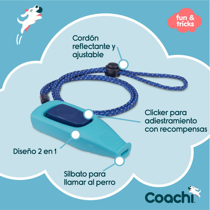 Свирка Coachi