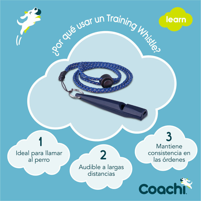 Свирка Coachi