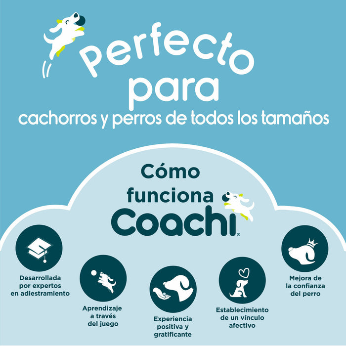Свирка Coachi