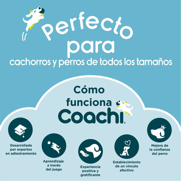 Свирка Coachi Син