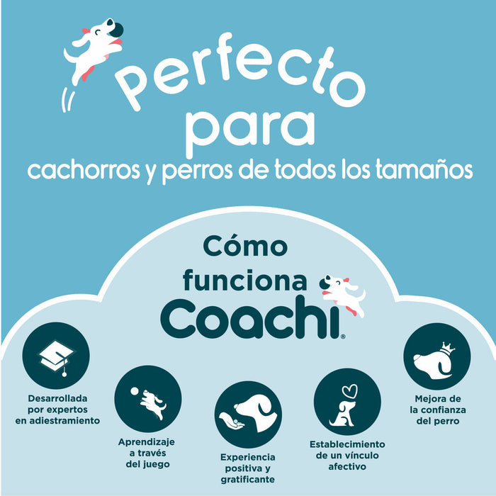 Training toy Coachi Син