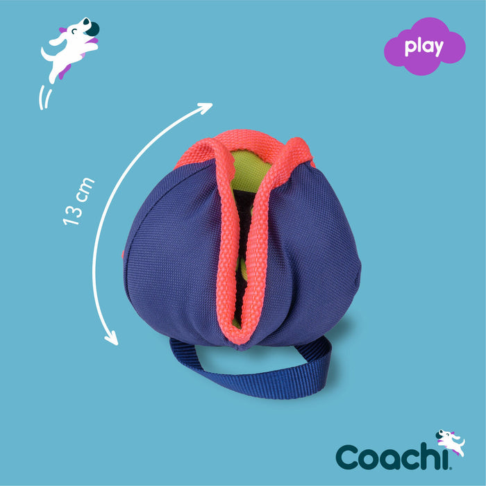 Training toy Coachi CHASE & TREAT Син