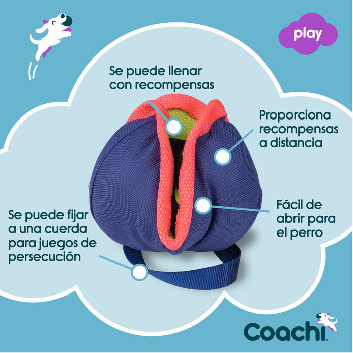 Training toy Coachi CHASE & TREAT Син