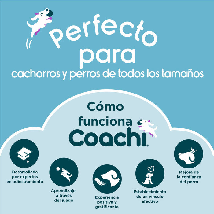 Training toy Coachi CHASE & TREAT Син