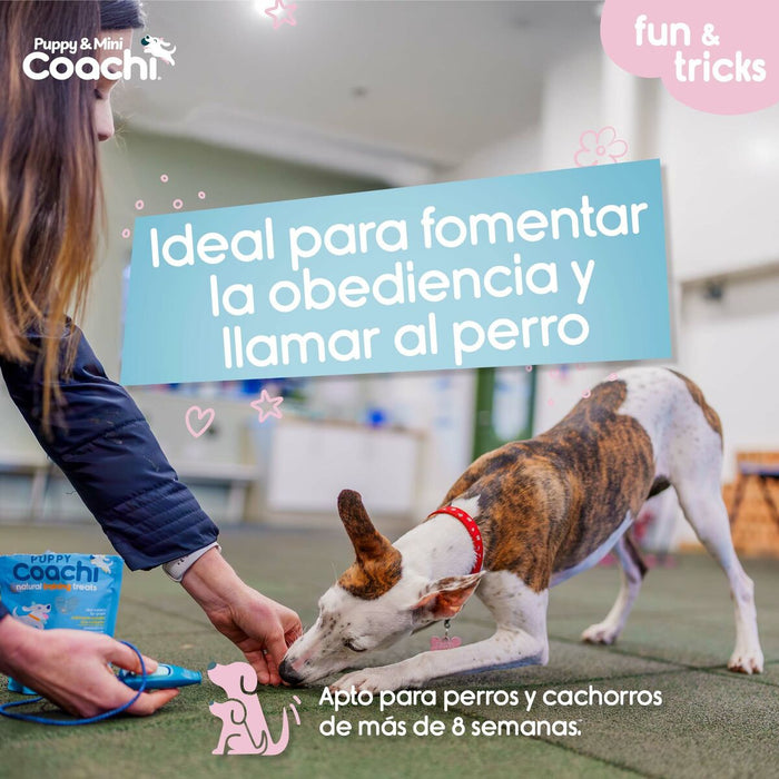 Каишка за Куче Coachi