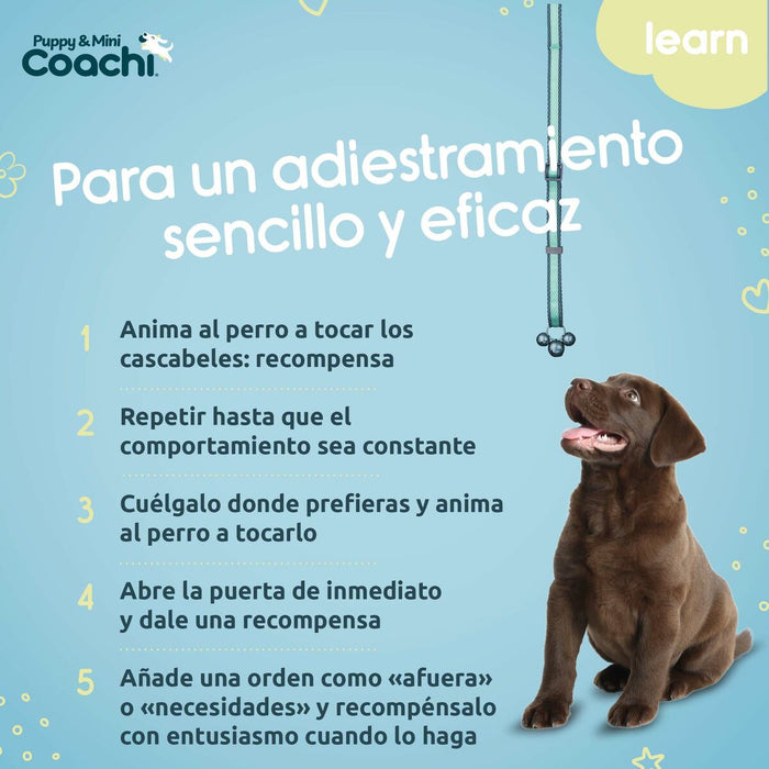 Каишка за Куче Coachi