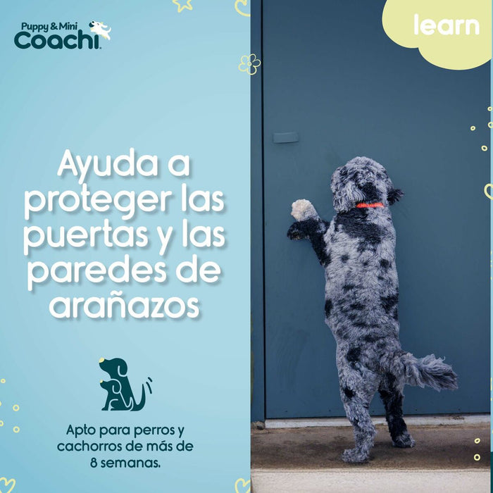 Каишка за Куче Coachi