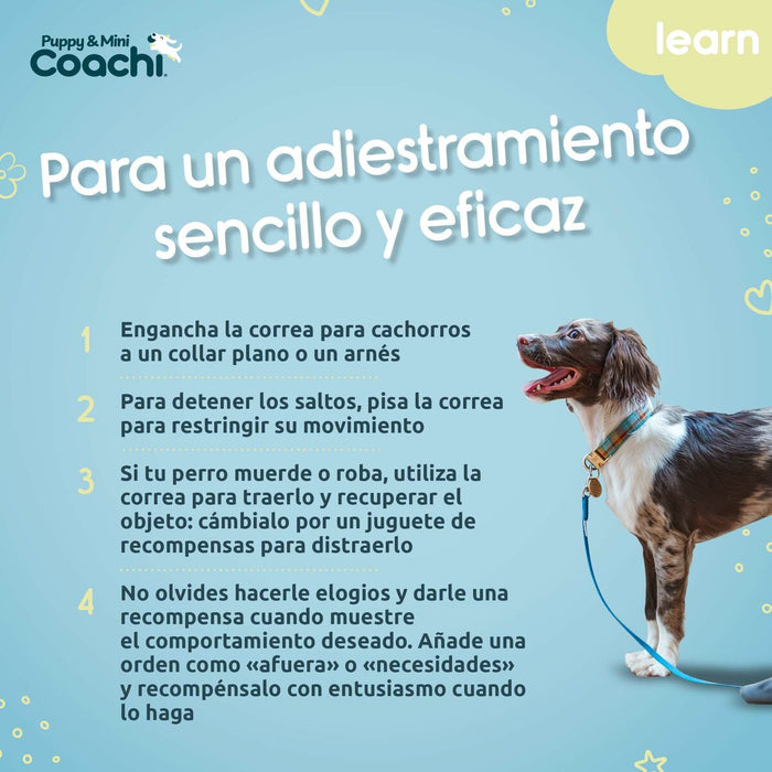 Каишка за Куче Coachi