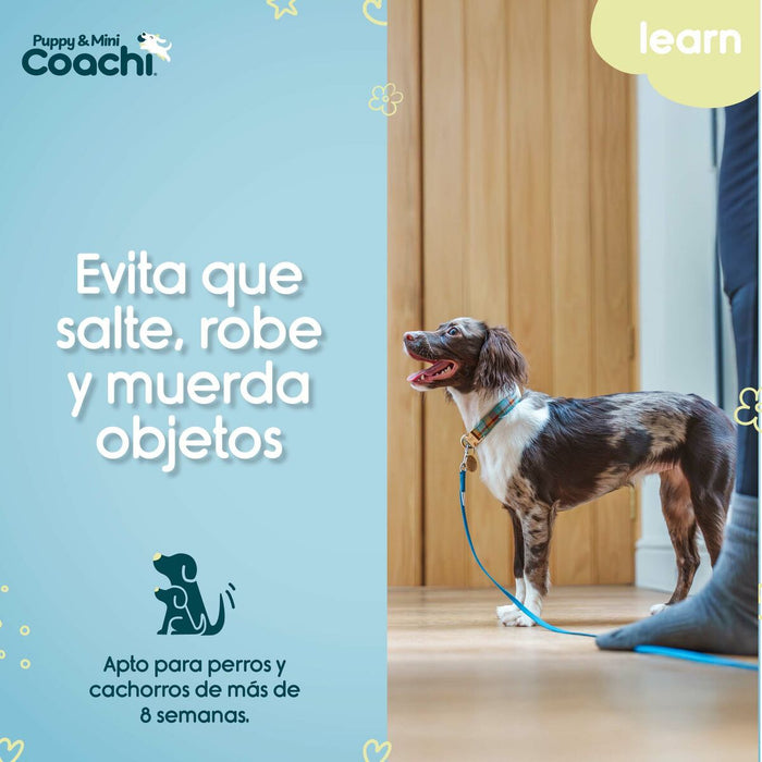 Каишка за Куче Coachi