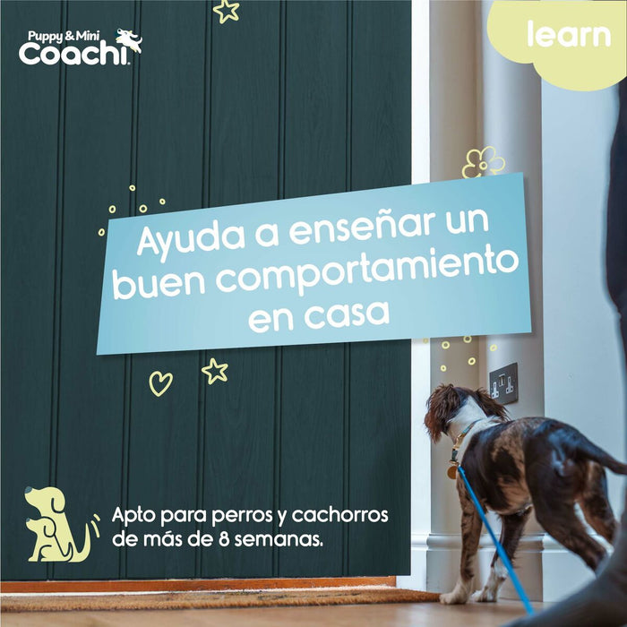 Каишка за Куче Coachi
