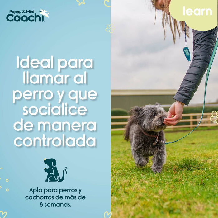Каишка за Куче Coachi