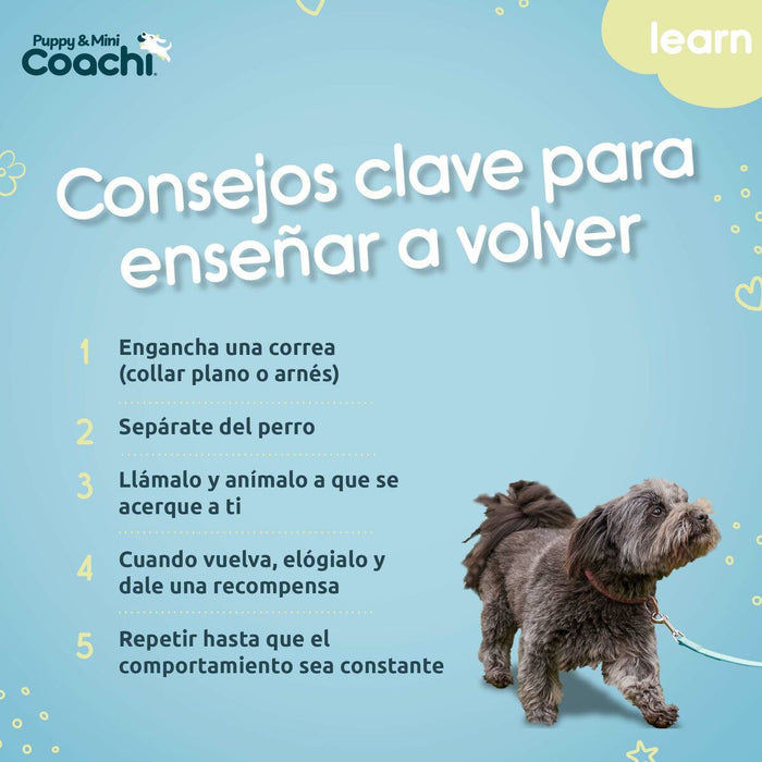 Каишка за Куче Coachi