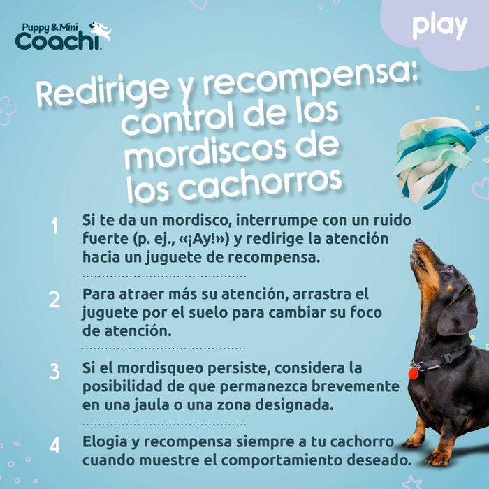 Каишка за Куче Coachi