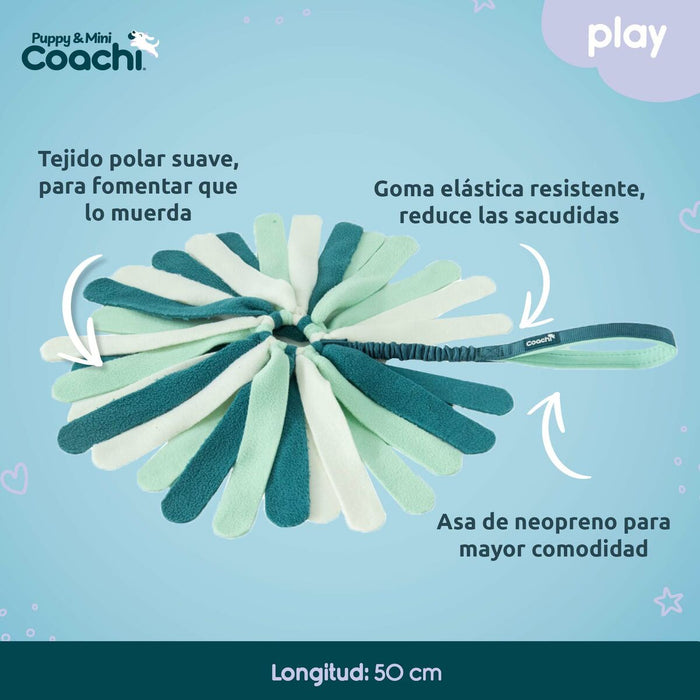 Каишка за Куче Coachi