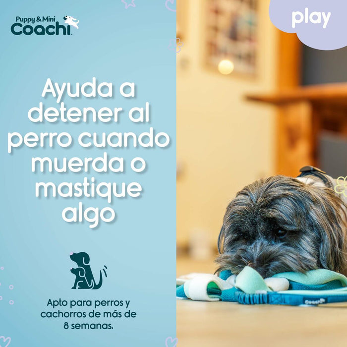 Каишка за Куче Coachi