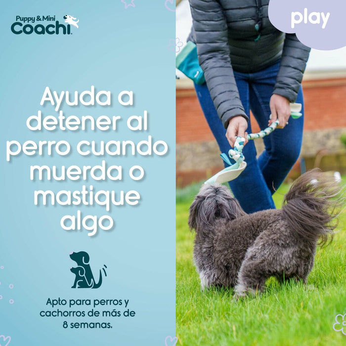 Каишка за Куче Coachi