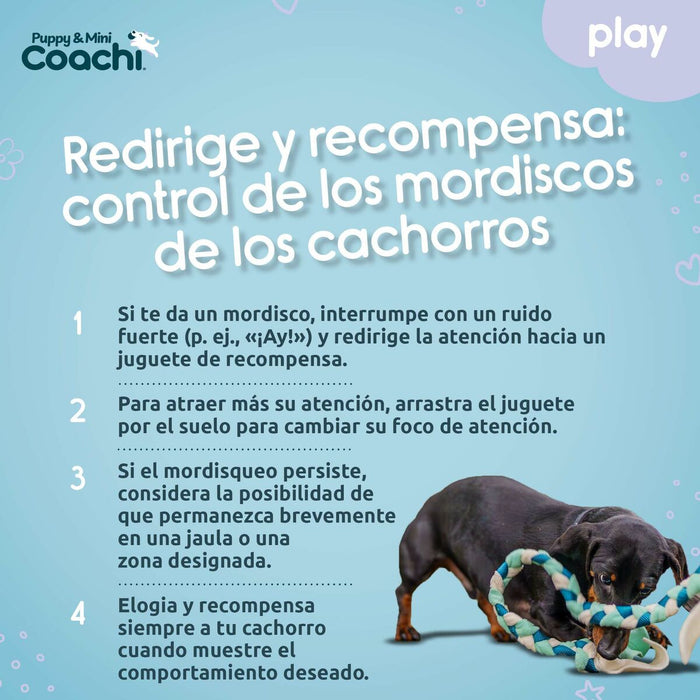 Каишка за Куче Coachi