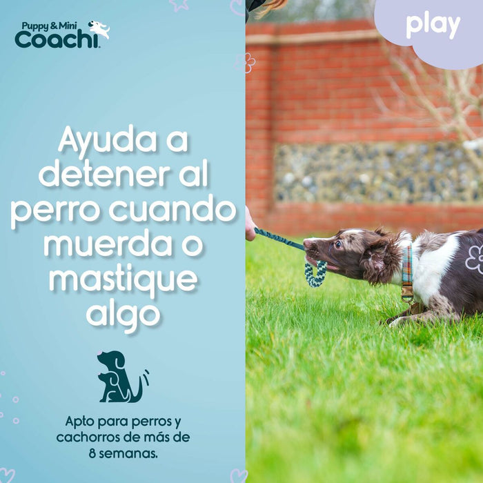 Каишка за Куче Coachi