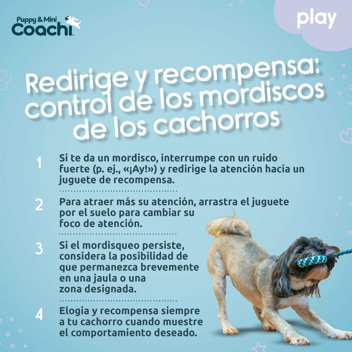 Каишка за Куче Coachi