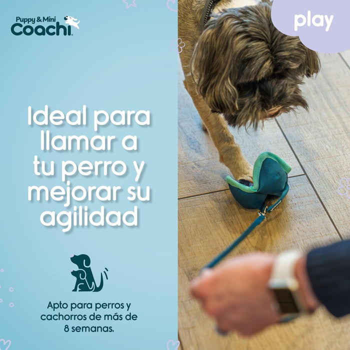 Каишка за Куче Coachi