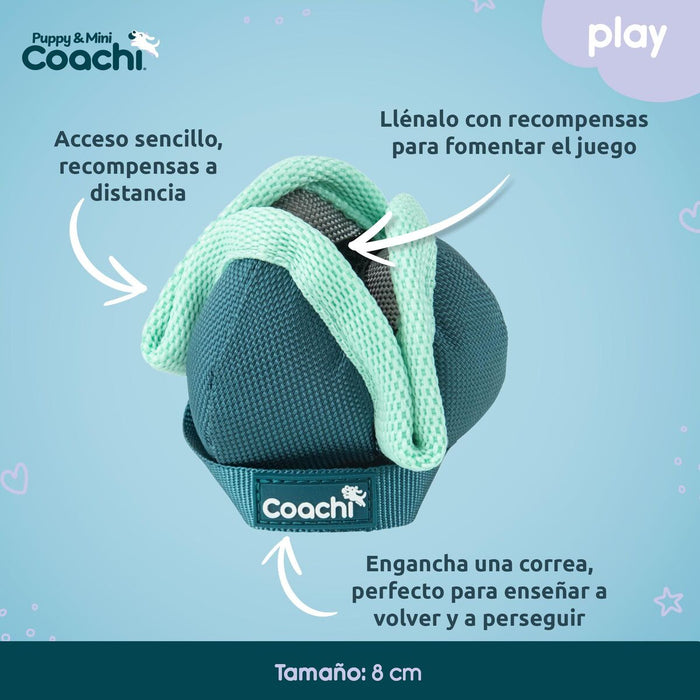 Каишка за Куче Coachi