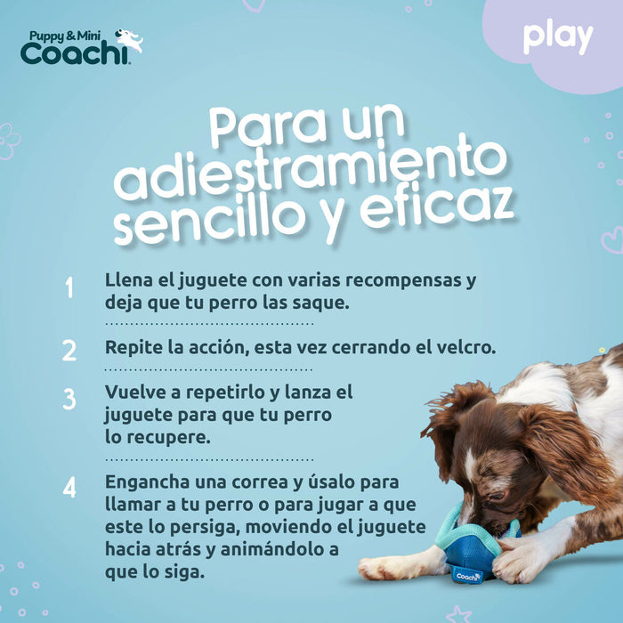 Каишка за Куче Coachi