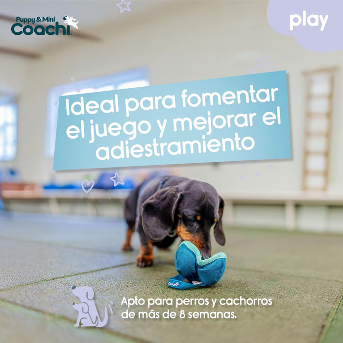 Каишка за Куче Coachi