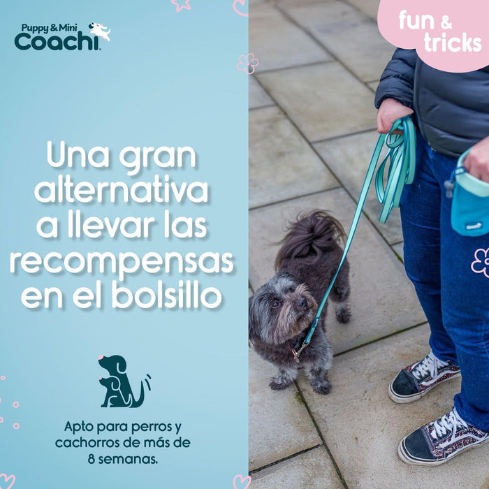Каишка за Куче Coachi