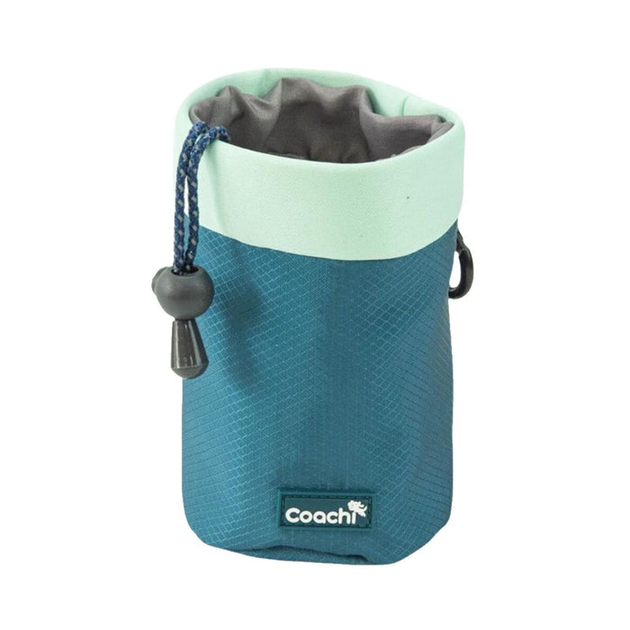 Каишка за Куче Coachi