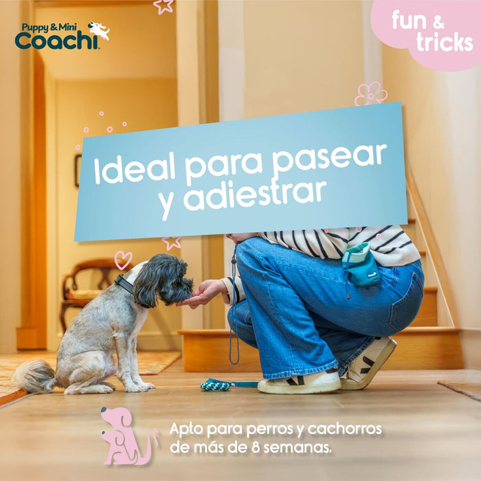 Каишка за Куче Coachi