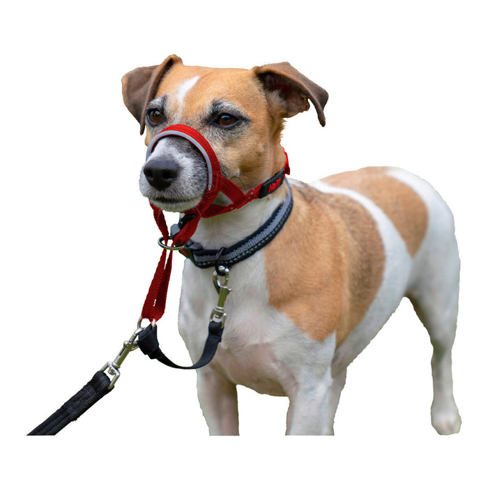 Нашийници за обучение на кучета Company of Animals Halti Муцуна (40-54 cm)