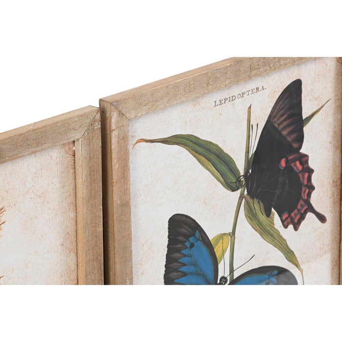 Картина DKD Home Decor Кристал Ела 40 x 2 x 50 cm