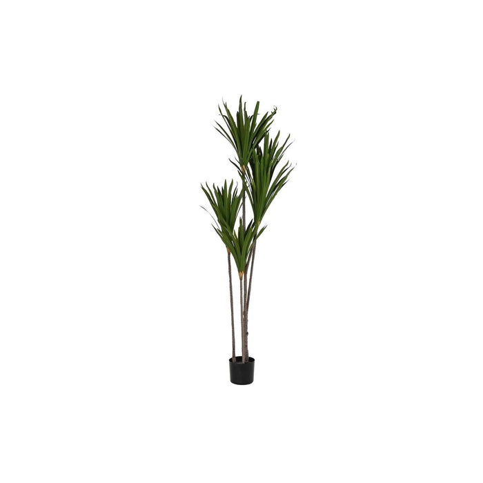 Декоративно Растение DKD Home Decor (80 x 80 x 180 cm)
