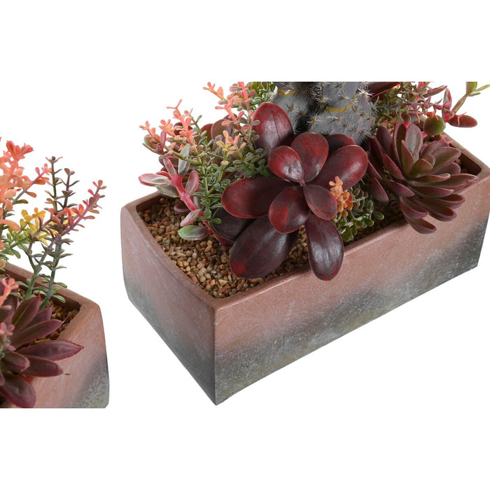 Декоративно Растение DKD Home Decor 19 x 9 x 22 cm Розов Оранжев Кактус Гума Ева полипропилен (2 броя)