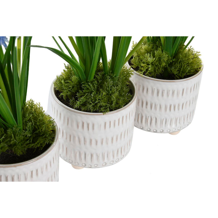 Декоративно Растение DKD Home Decor Пяна Син Розов Жълт полипропилен 15 x 15 x 30 cm (3 Части)